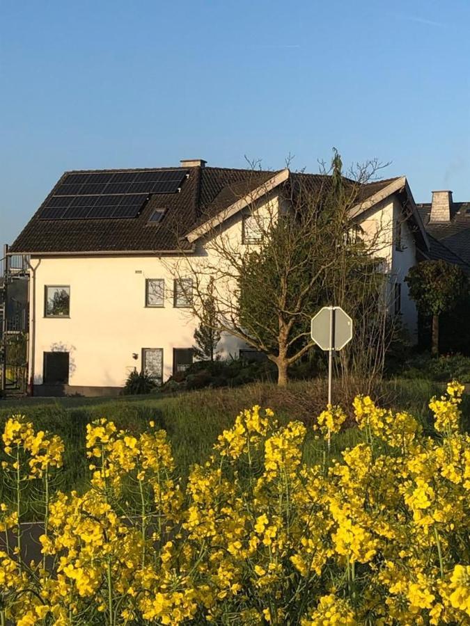 Ferienwohnung Auf Dem Maifeld Gappenach Eksteriør bilde